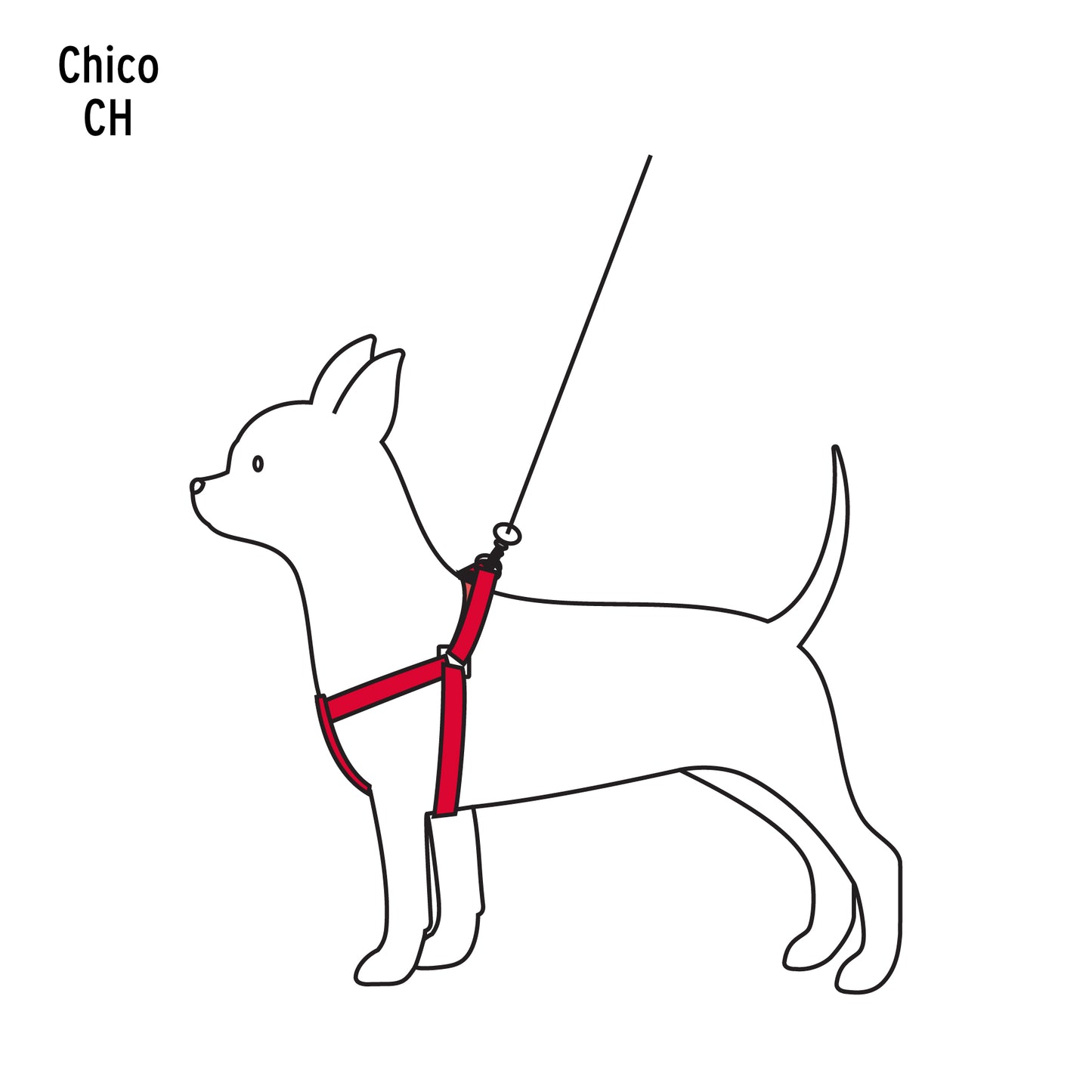 COPE Correa con pechera para perro, 1 cm ancho, Fiero